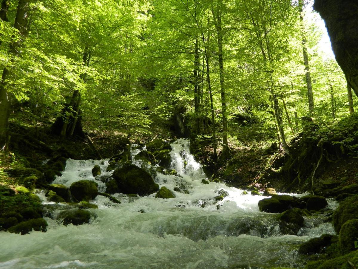 Egglmeier'S Ferienwohnung Grundlsee Bagian luar foto